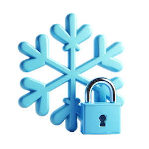 Snowflake